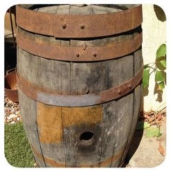 PEUGEOT PSP 2 Brosses Pour Rénovateur à Lanières Abrasives Grain 40 D. 120 Mm L. 100 Mm - Ponçage -PEUGEOT PSP Soldes 2022 20977651 3