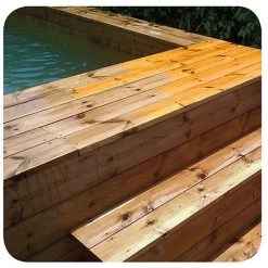 PEUGEOT PSP Brosse Pour Rénovateur En Fil Nylon D. 120 Mm L. 100 Mm - Brossage Léger -PEUGEOT PSP Soldes 2022 20977683 3